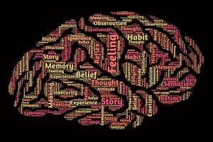 image of a brain with words describing function, traumatic brain injury